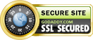 ssl secured a secure site